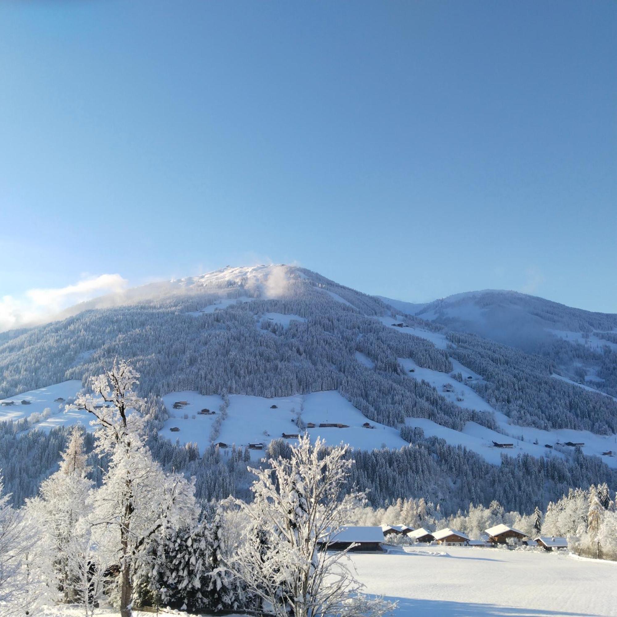 Alpbachblick Apartman Kültér fotó