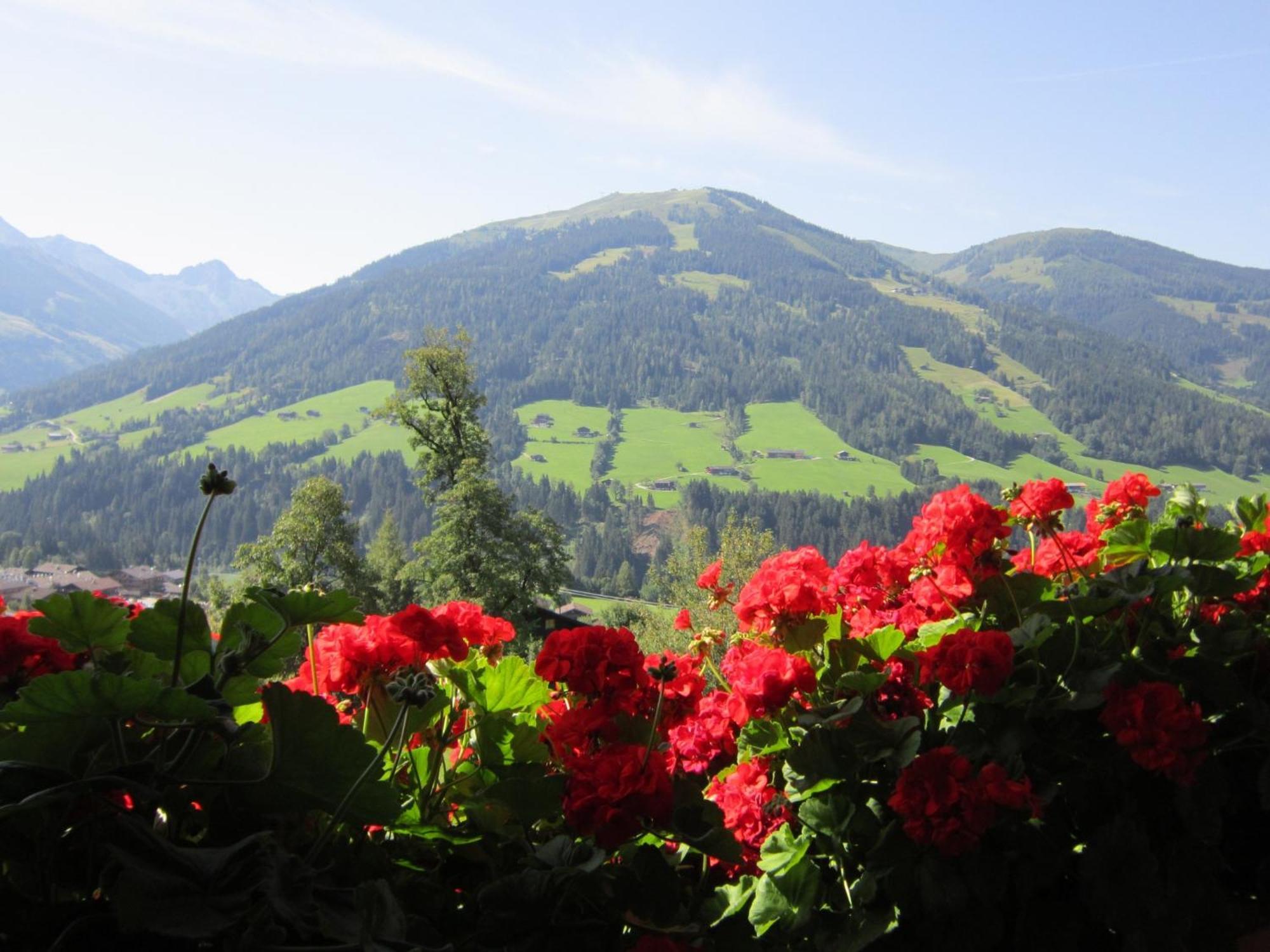 Alpbachblick Apartman Kültér fotó
